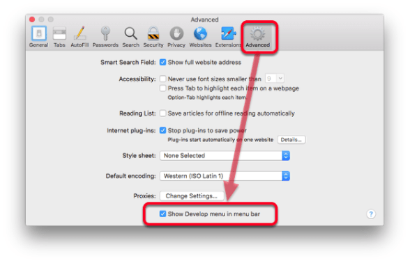 advanced-tab--turn-on--show-develop-menu--option
